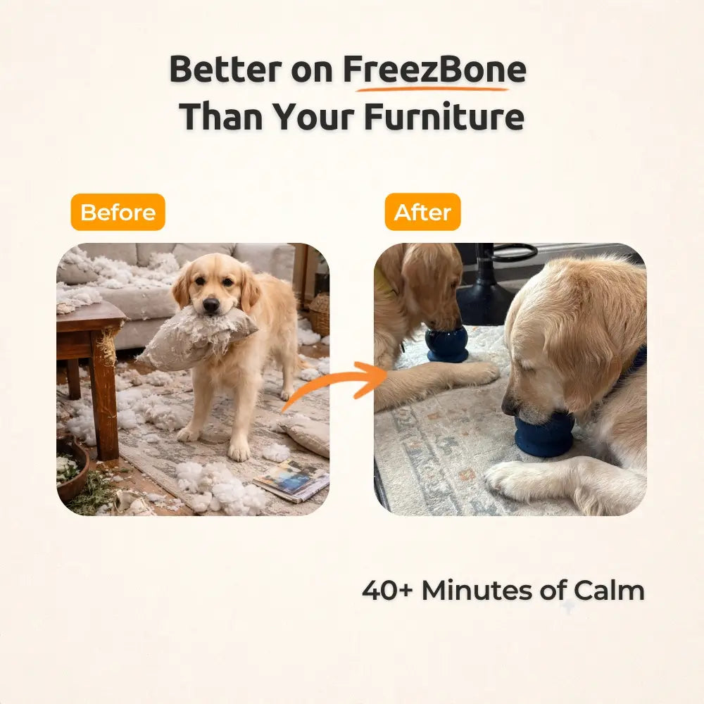 Freezball - High-Quality Fillable Chew Bone for Dogs