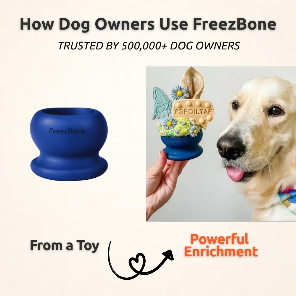 Freezball - High-Quality Fillable Chew Bone for Dogs
