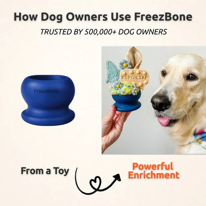 Freezball - High-Quality Fillable Chew Bone for Dogs